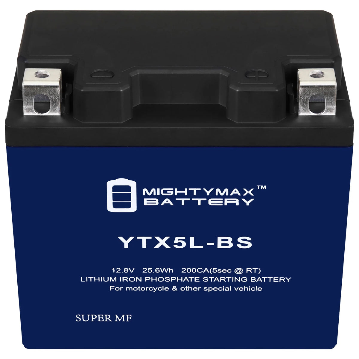 10 Pack Lithium Replacement Battery G642