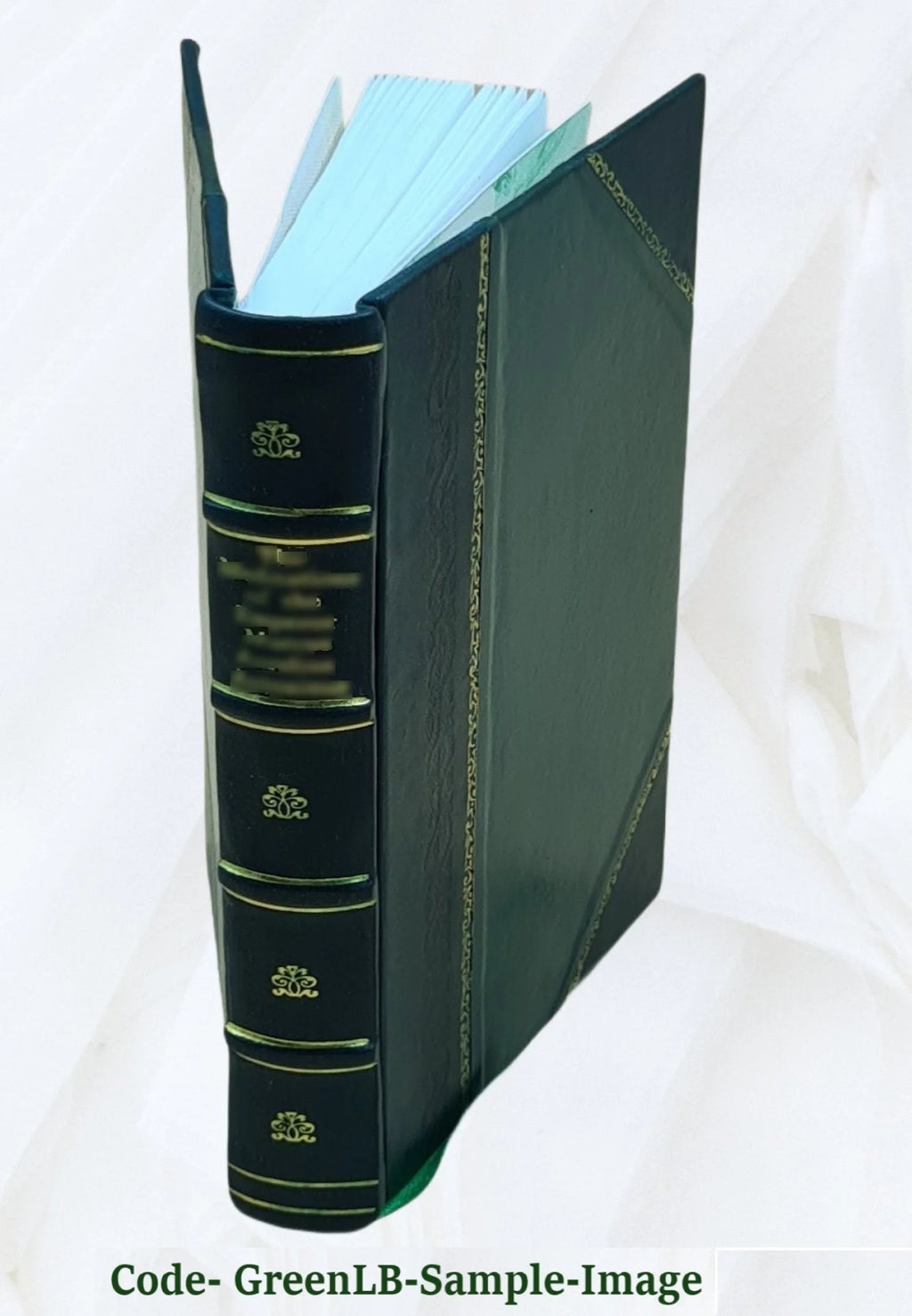 Leather Bound Book T8891