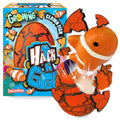 Hatching Eggs with Growing Fish Toy D477