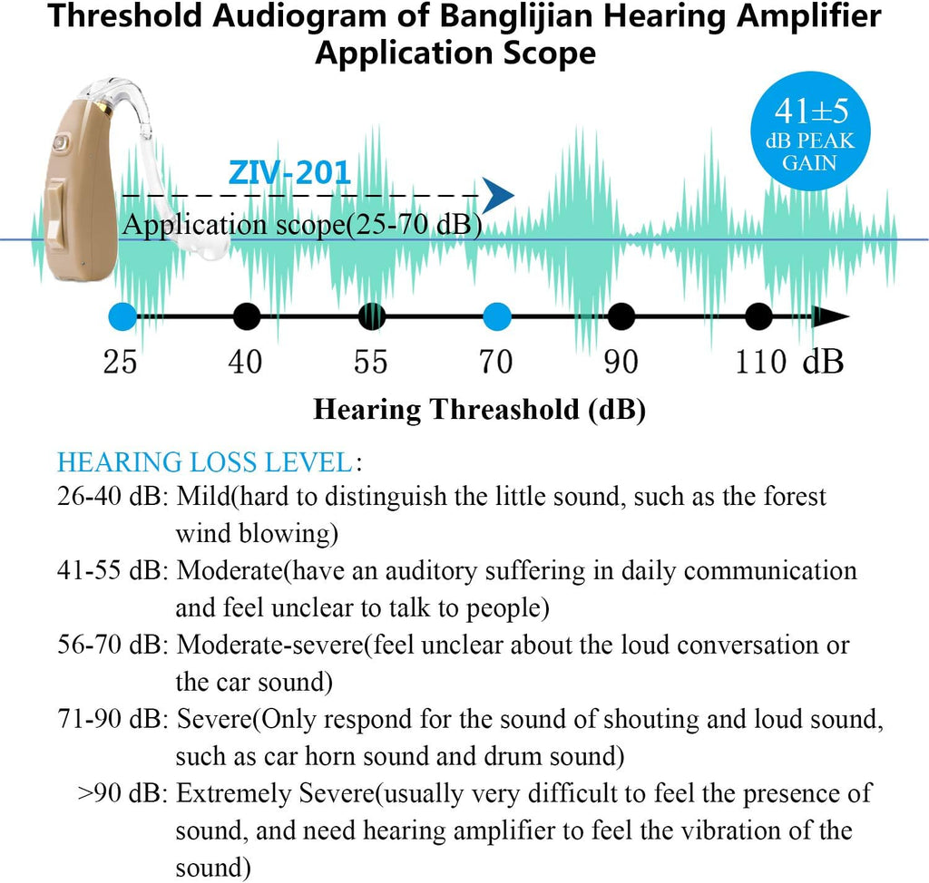 Small Size Rechargeable Digital Hearing Aid S75411