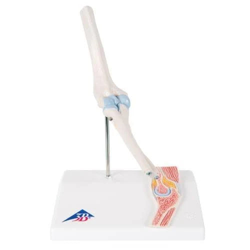 Mini Elbow Joint with Cross Section Model K302233