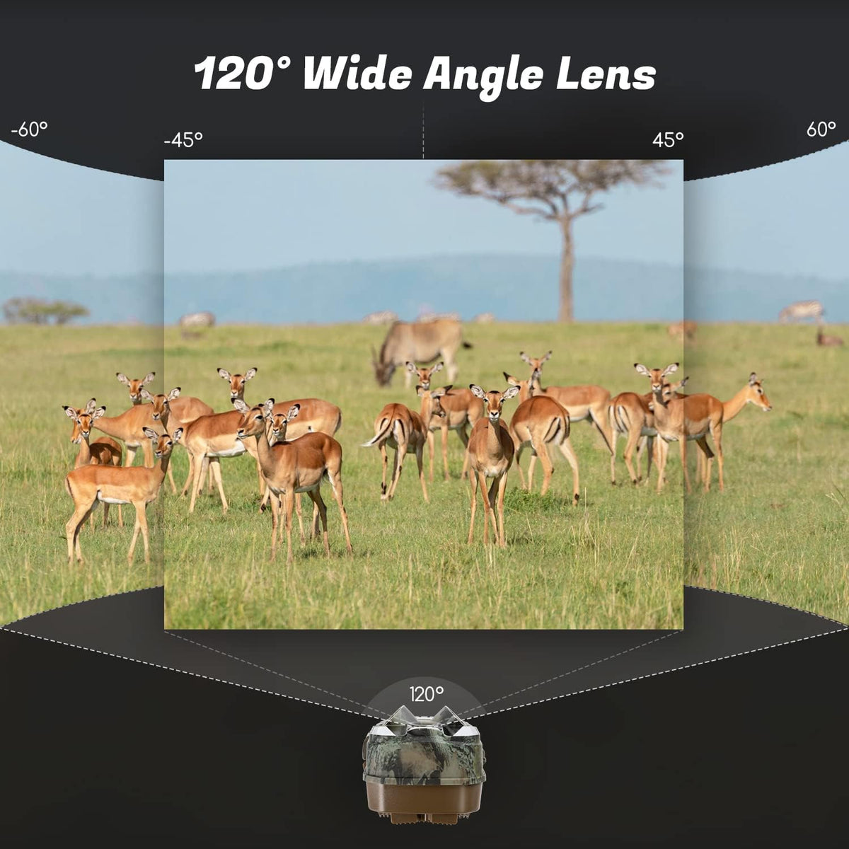 24MP 1296P Night Vision Waterproof IP66 Wildlife Trail Camera with WiFi X83162