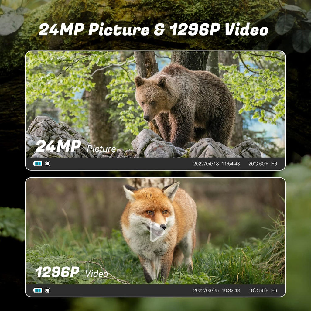 24MP 1296P Night Vision Waterproof IP66 Wildlife Trail Camera with WiFi X83162