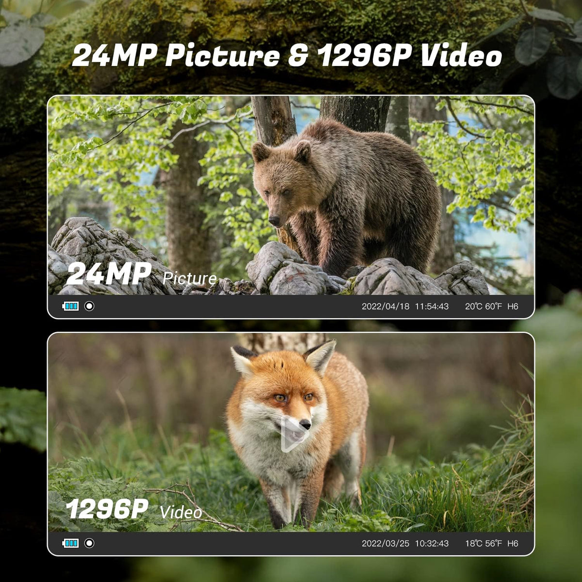 24MP 1296P Night Vision Waterproof IP66 Wildlife Trail Camera with WiFi X83162