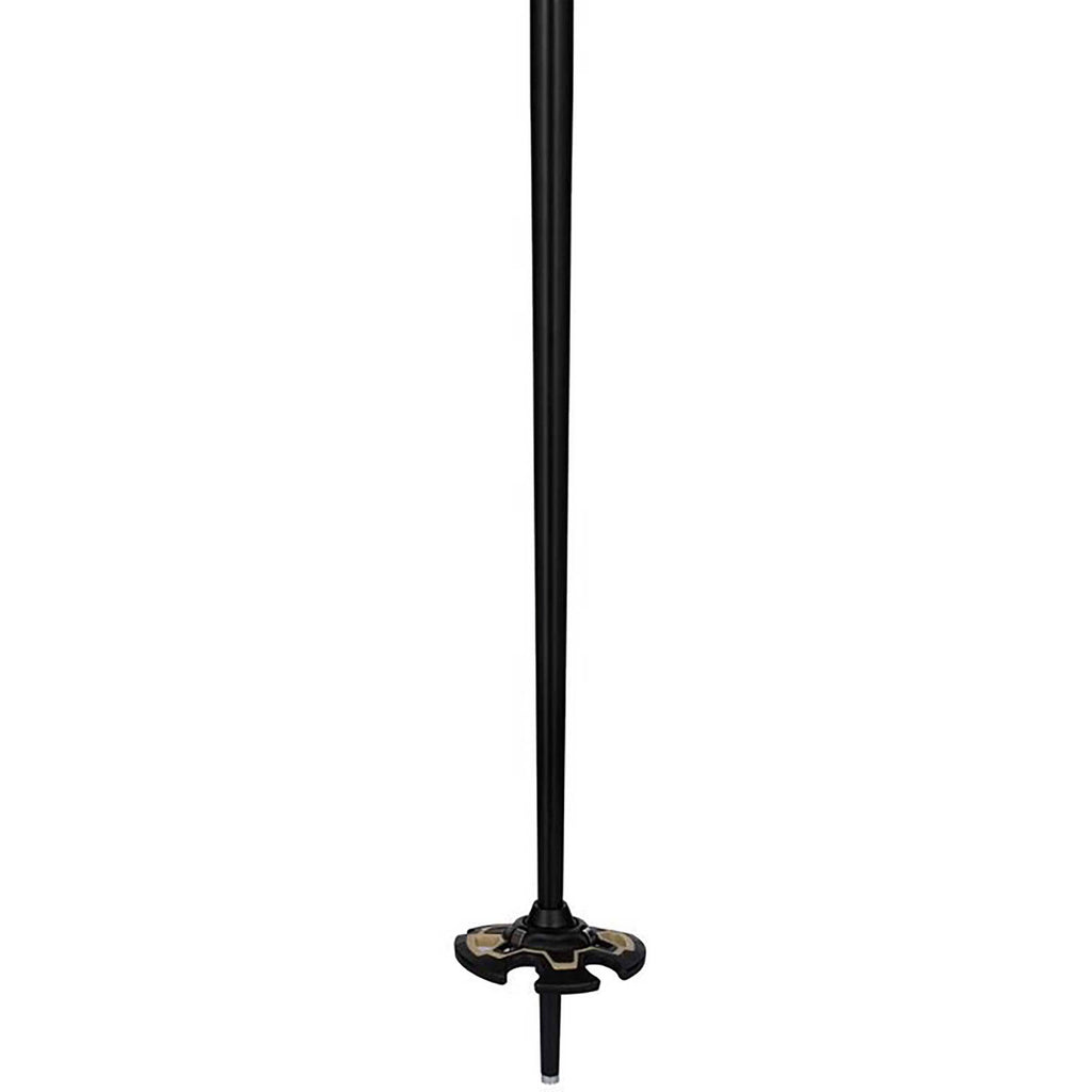 Freeride Ski Poles G921