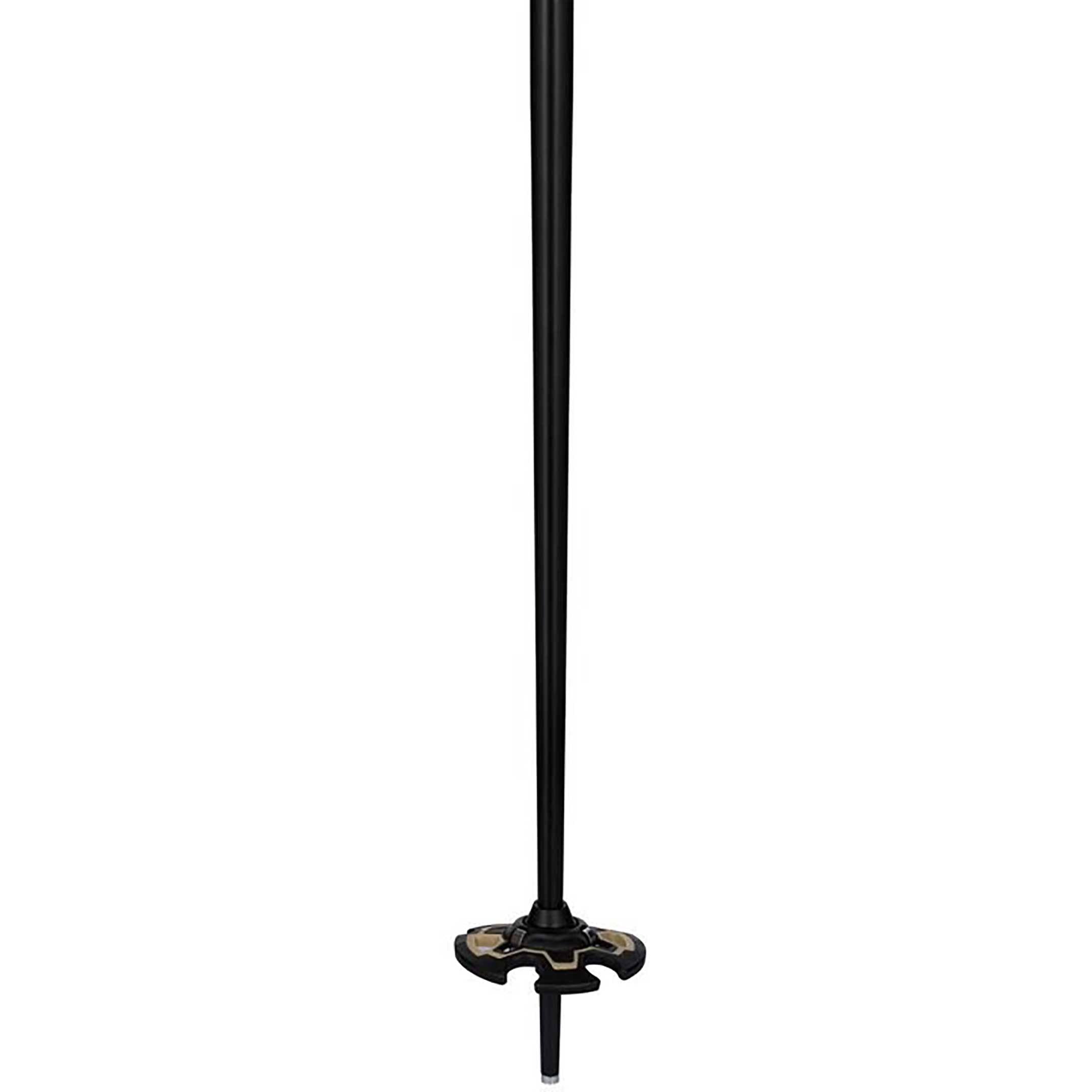 Freeride Ski Poles G921