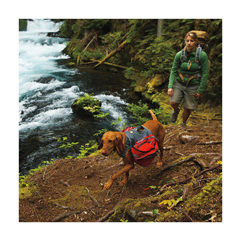 Medium Red Currant Palisades Pack A78612