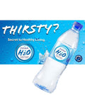 Natural Artesian Mineral Water 24 Pack (20.28 Oz Bottle) R9127