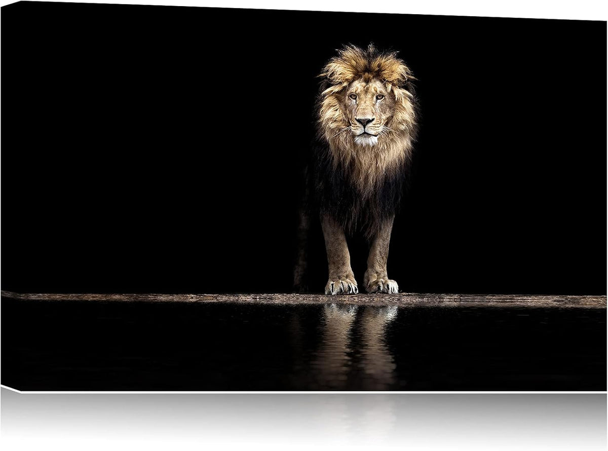 Framed Canvas Wall Art 18x12 I620405