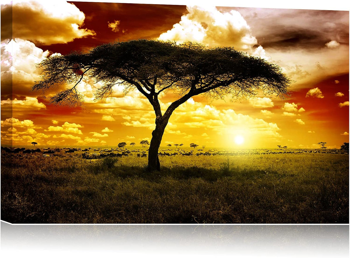 Framed Canvas Wall Art 18x12 I620405