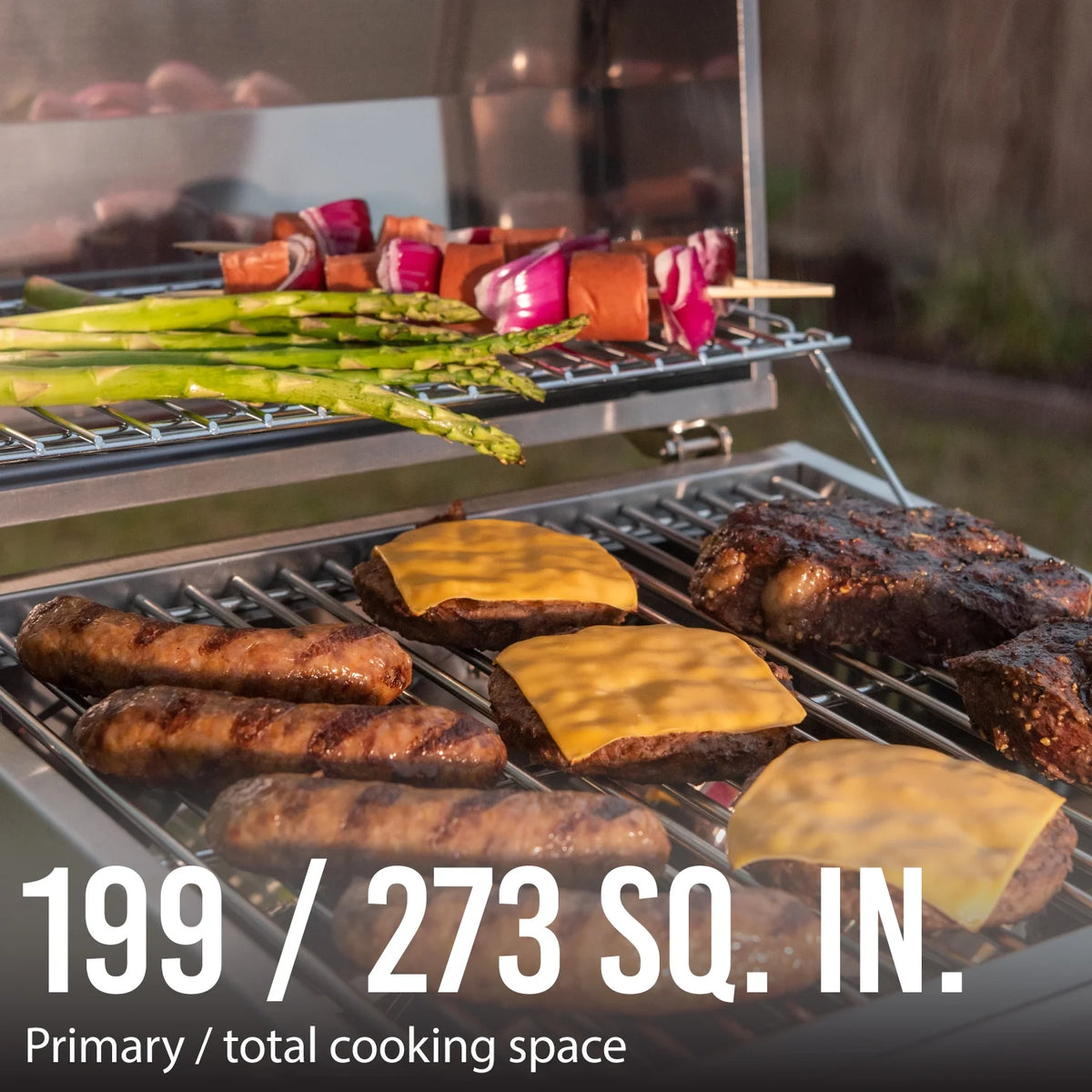Stainless Steel 2 Burner Tabletop Propane Gas Grill N531888