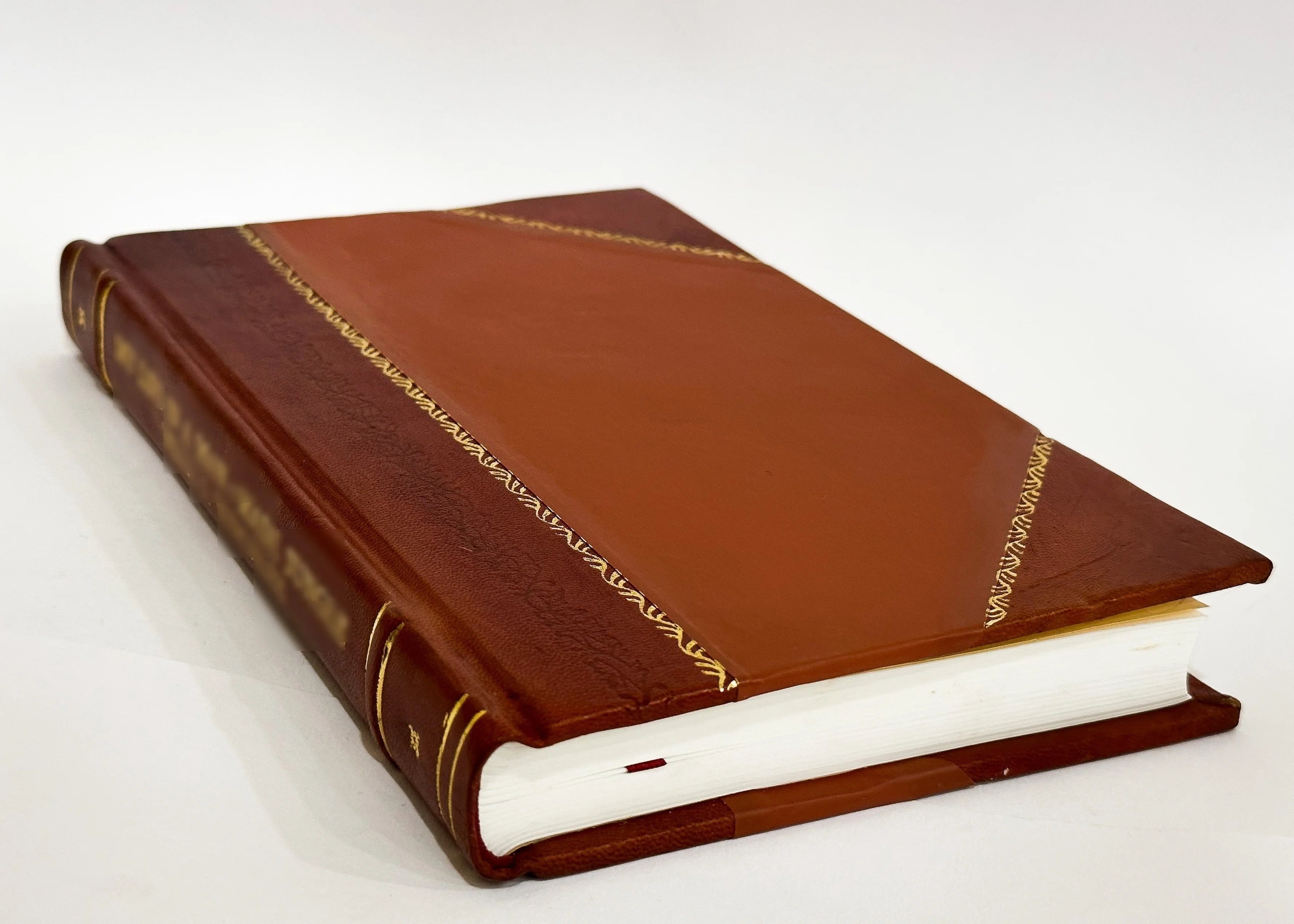 Leather Bound Book I338