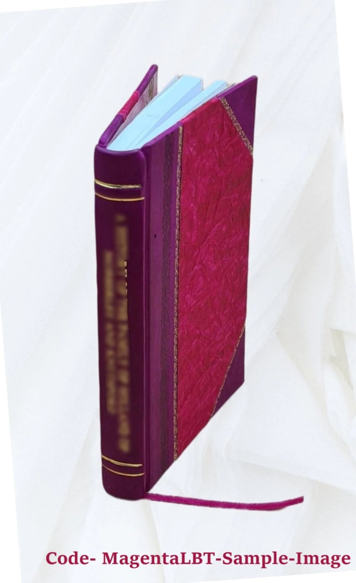 Leather Bound Book H29520