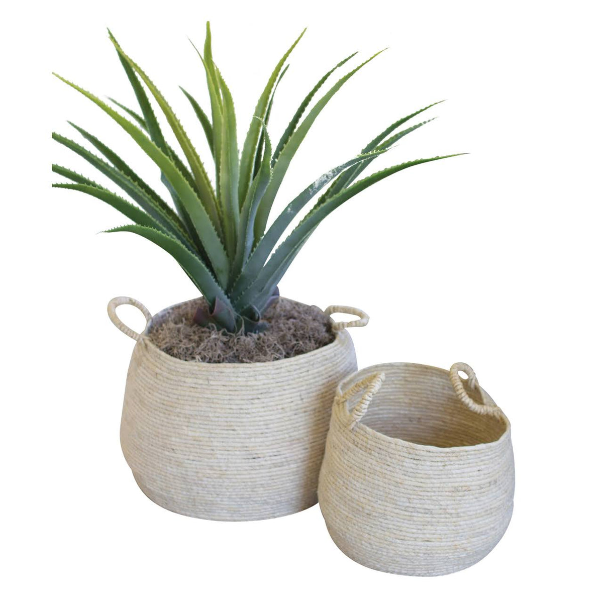 Natural Woven Seagrass Baskets - Set of Two N46547