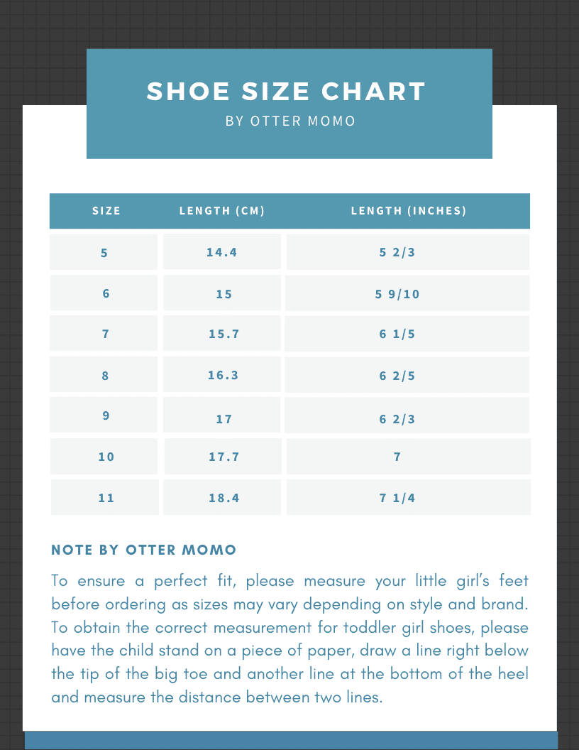 Mary Jane Ballerina Flats Shoes H417334