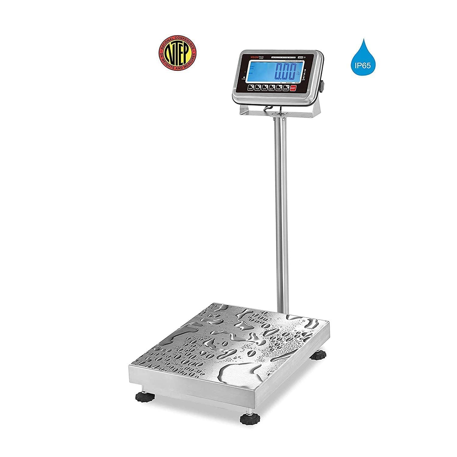Stainless Steel Bench Scale, 200lb Capacity, 0.05lb Readability W5757