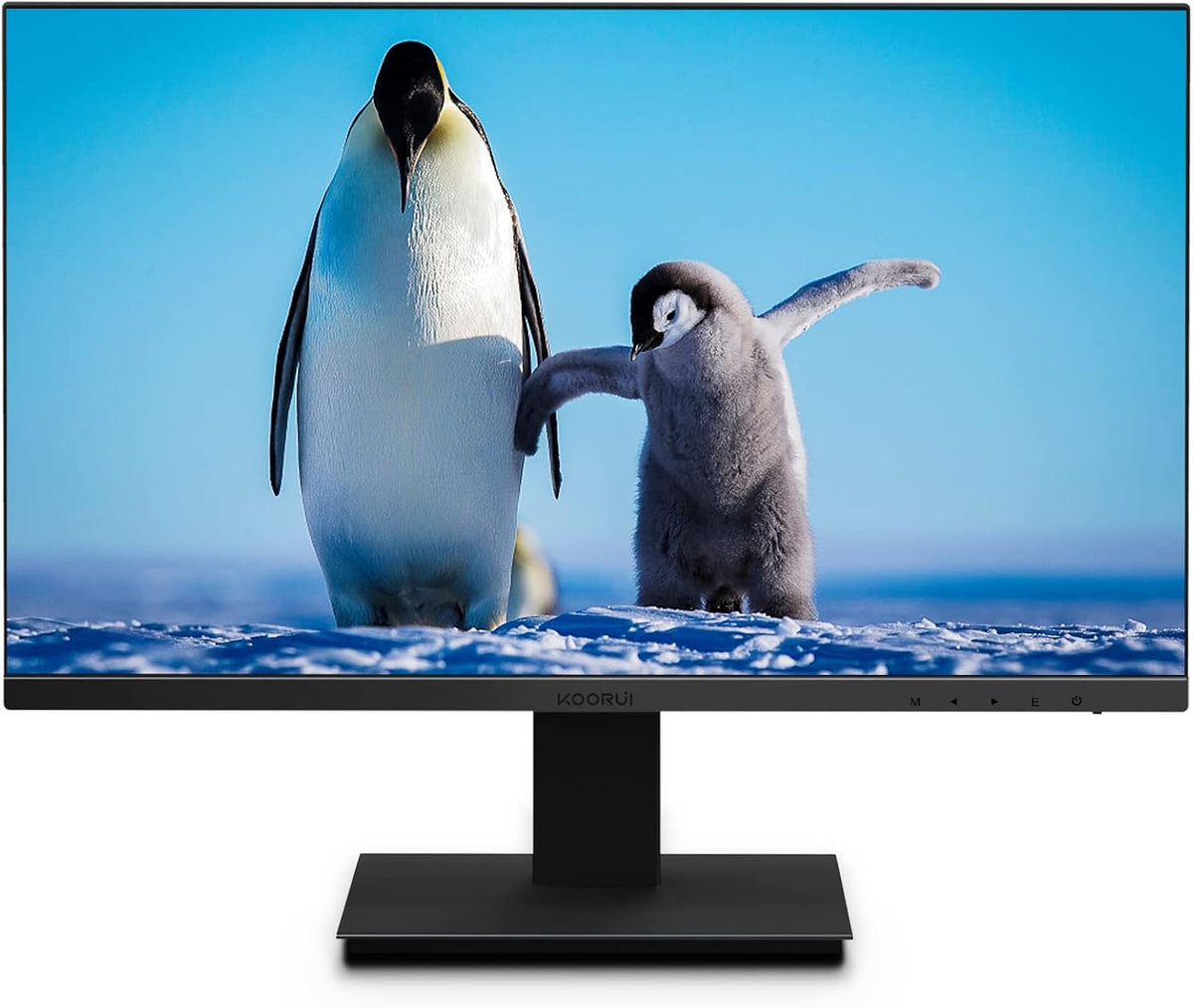 22 inch FHD 1080P 75hz VA LED Monitor K9381