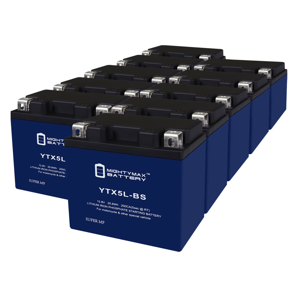 10 Pack Lithium Replacement Battery G642