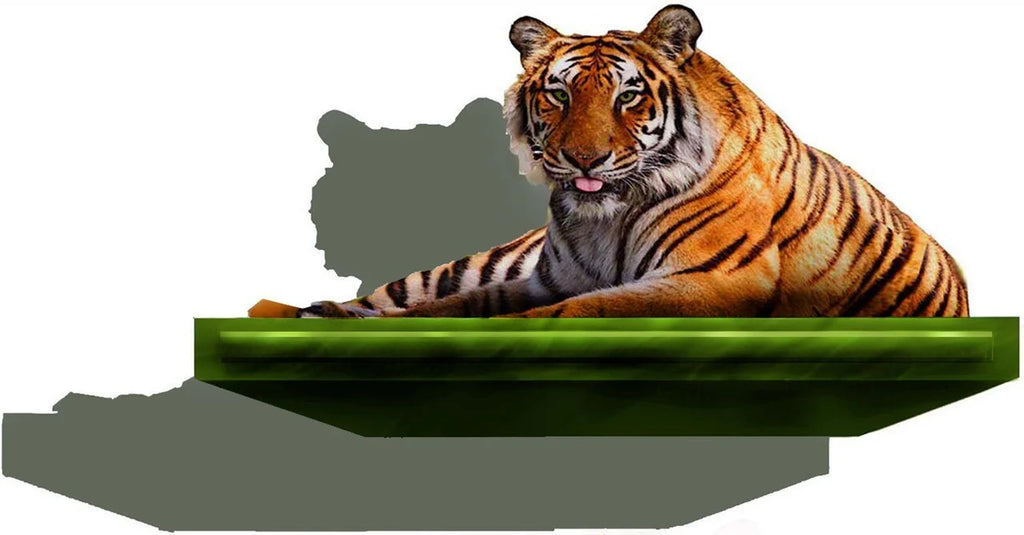 3-D Floating Tiger Wall Decor Decal B565701