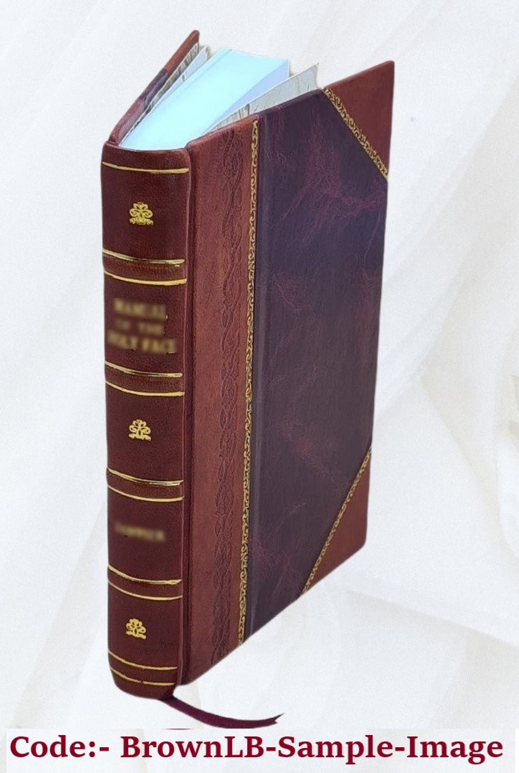 Leather Bound Book T8891