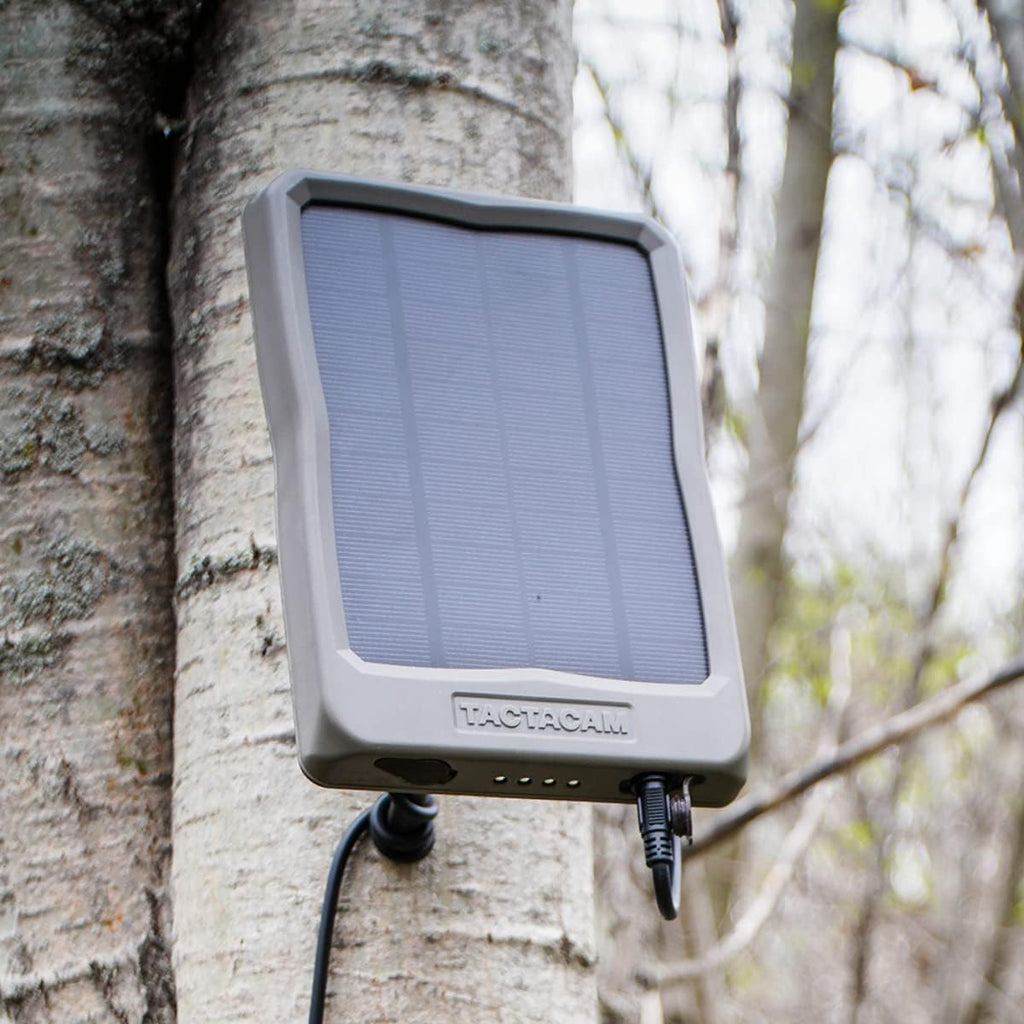 External Solar Panel T792300