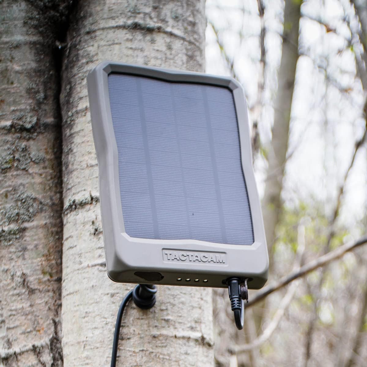 External Solar Panel T792300