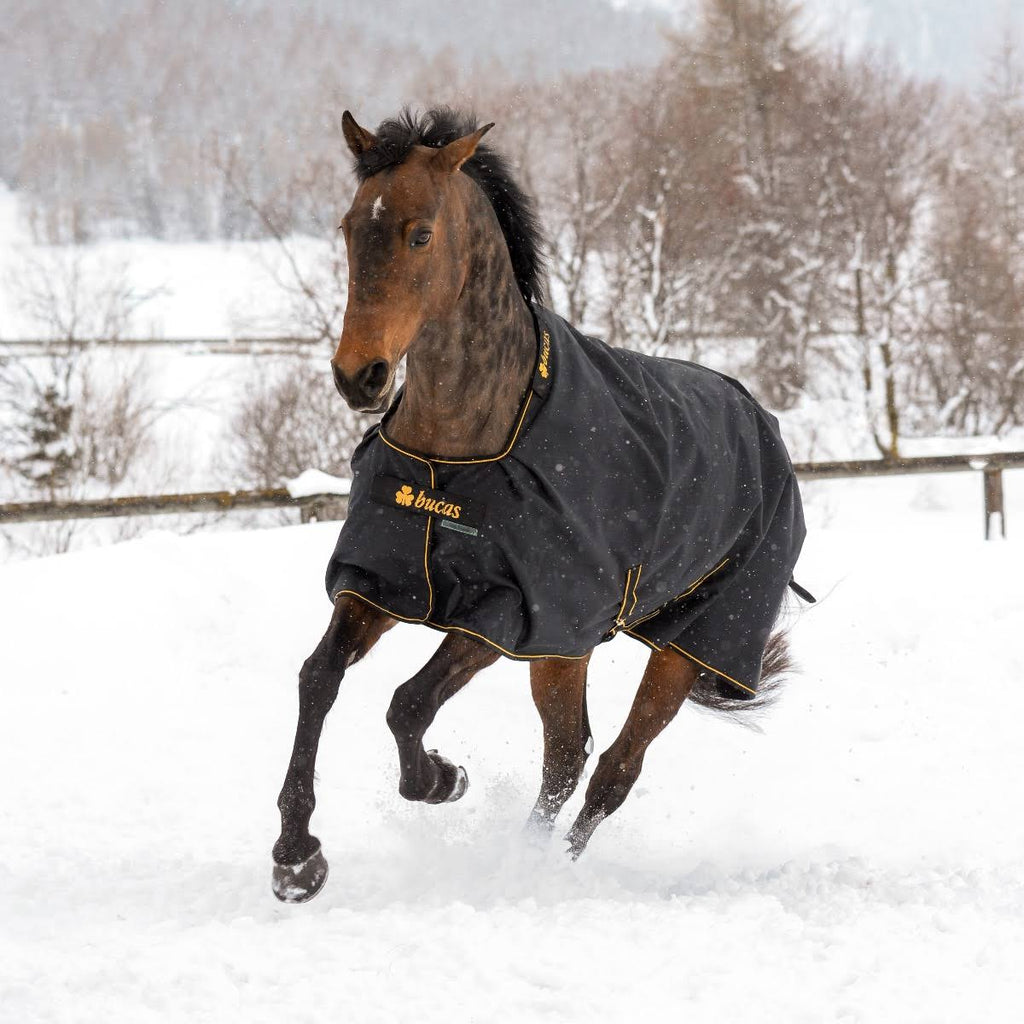 Black / Gold Light Turnout 50 Grams P59167