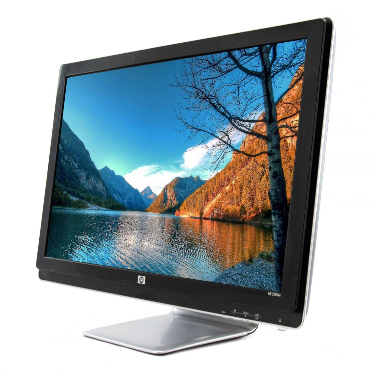 25x22 Widescreen LCD Monitor B876275