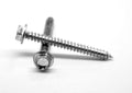 Hex Washer Head Sheet Metal Screw H377933