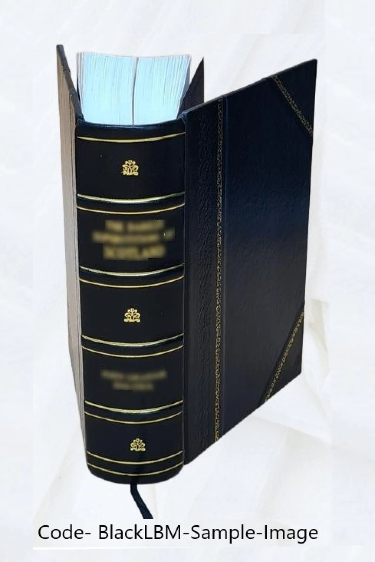 Cyclopædia of Poetry, First Series, Leather Bound H7582