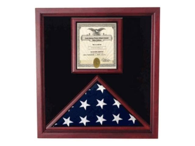 Display Case E1341