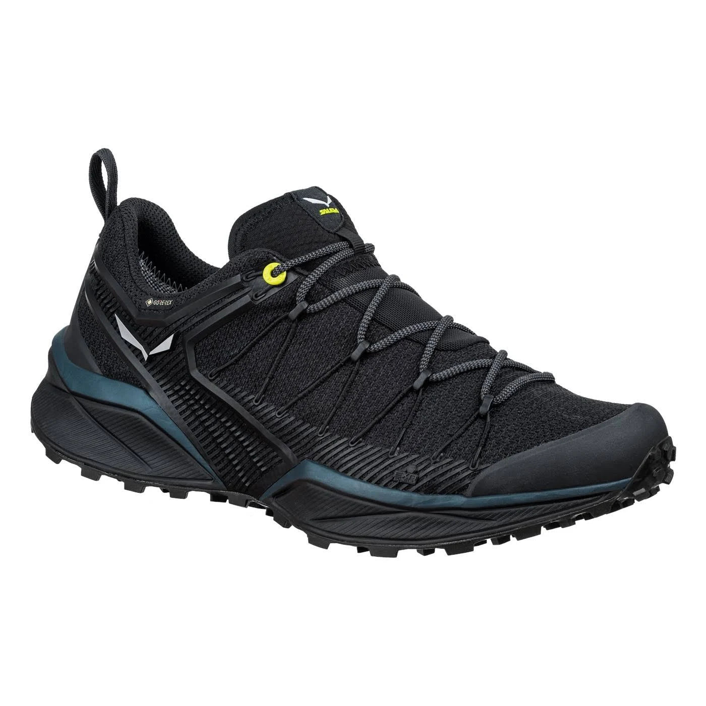 Men's Dropline GTX Hiking Shoes W2204
