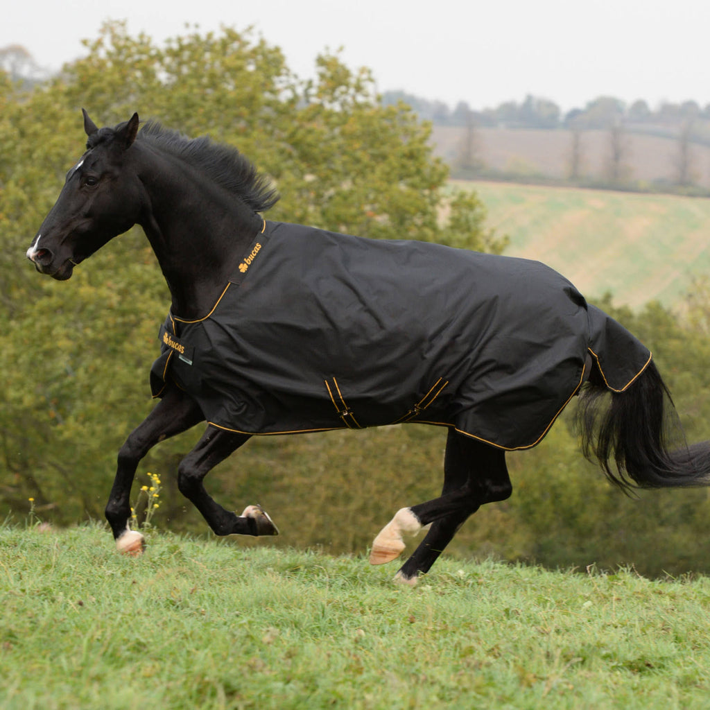 Black / Gold Light Turnout 50 Grams P59167