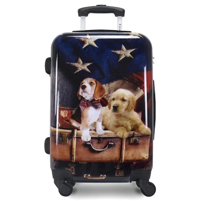 20-Inch Hardside Expandable Spinner Luggage D658330