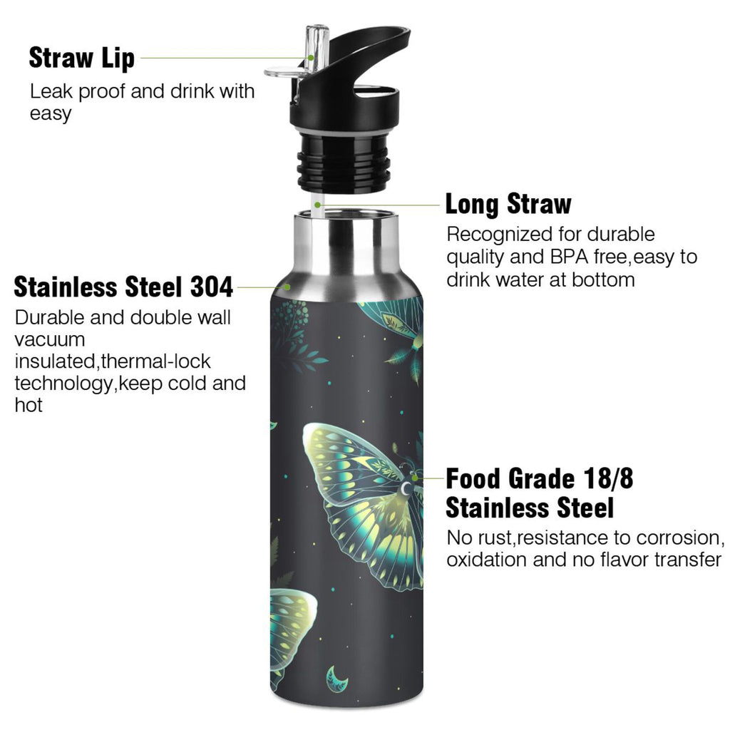 20 OZ Stainless Steel Vacuum Insulated Water Bottle with Straw Lid R1380