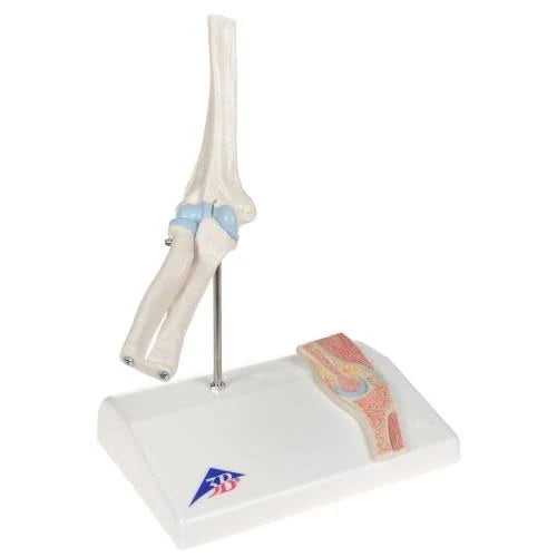 Mini Elbow Joint with Cross Section Model K302233
