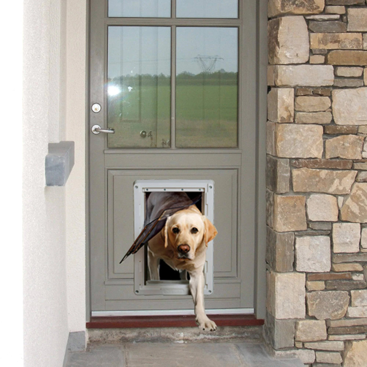 Extra Large Pet Door Z862
