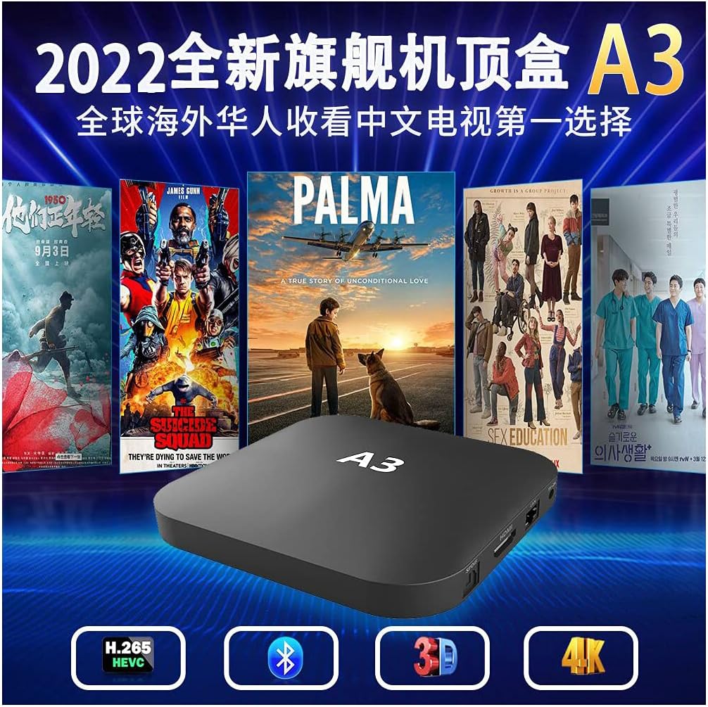 A3 Chinese TV Box with 300+ Channels, Seven Days Playback G992196